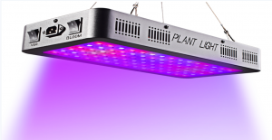 1200 Watt Full Spectrum LED Plant Grow Light
